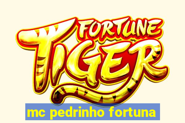 mc pedrinho fortuna